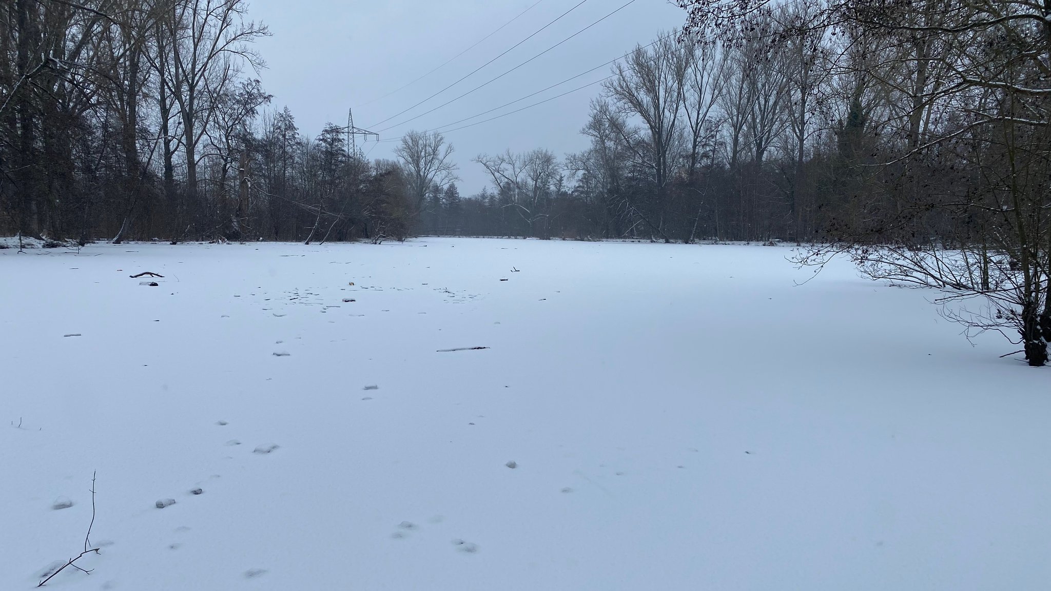 Schneebedeckte Eisfläche eines Weihers, umgeben von Bäumen.