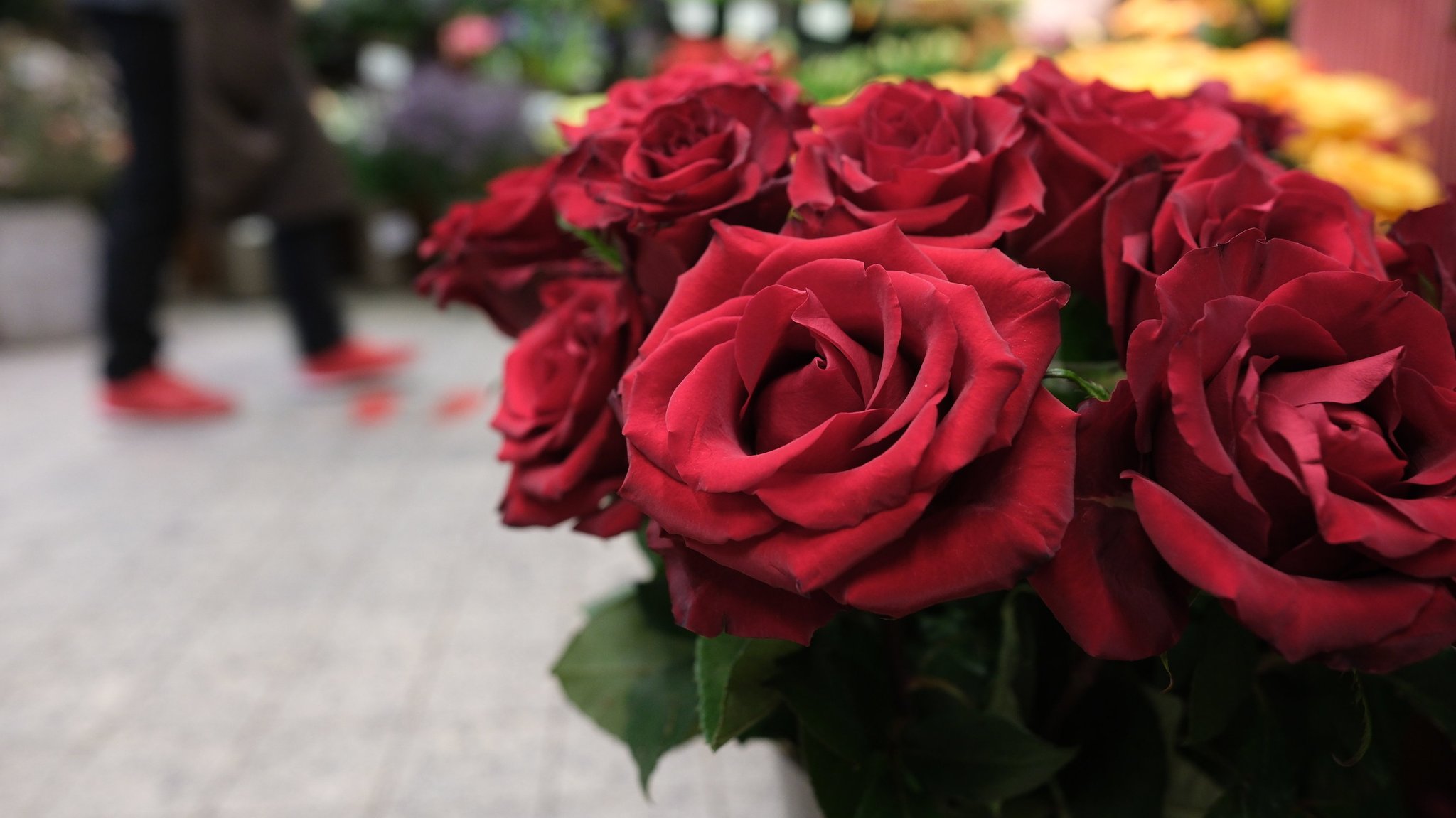 Rote Rosen in einem Blumenladen