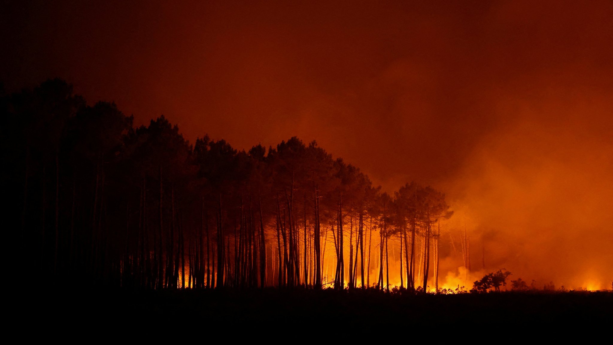 Waldbrände vor Bordeaux: Flammen bedrohen die Großstadt