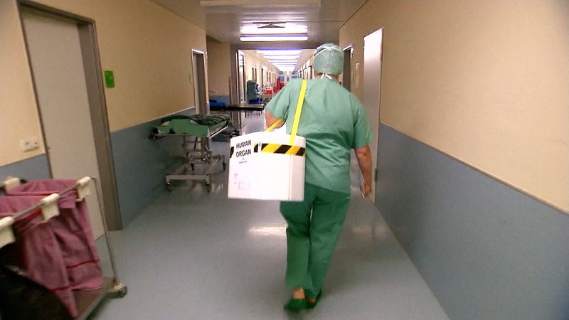 Klinikpersonal läuft mit einer Organ-Box über einen Krankenhausflur