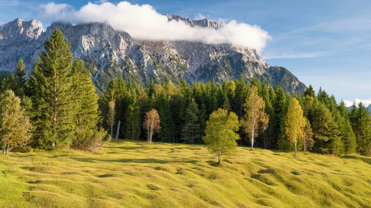 Buckelwiesen zwischen Mittenwald und Krün im Landkreis Garmisch-Partenkirchen. Im Vordergrund eine hellgrüne, von Buckeln übersäte Wiese. Im Mittelgrund ein Wald, dahinter das Gebirge.