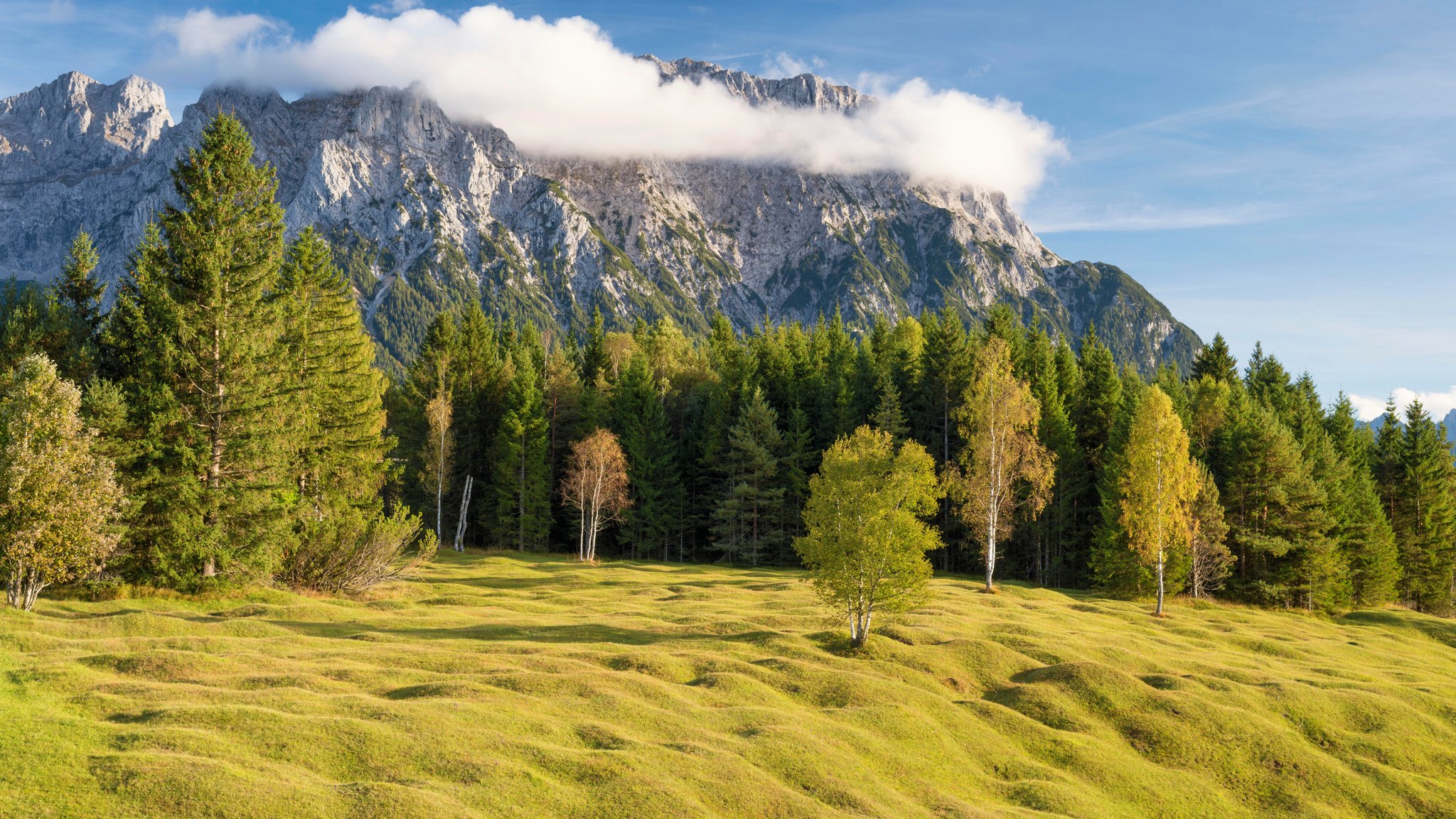 Buckelwiesen zwischen Mittenwald und Krün im Landkreis Garmisch-Partenkirchen. Im Vordergrund eine hellgrüne, von Buckeln übersäte Wiese. Im Mittelgrund ein Wald, dahinter das Gebirge.