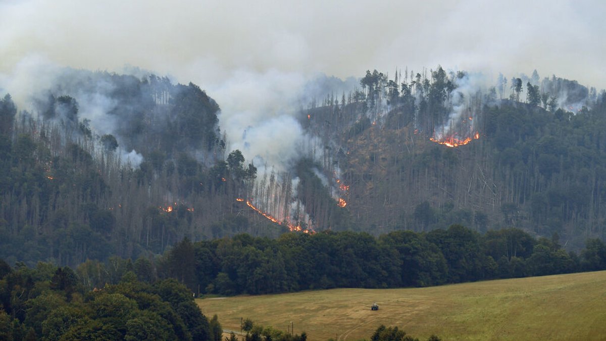 Waldbrandgefahr: Luftbeobachtungsflüge ab Samstag über Franken