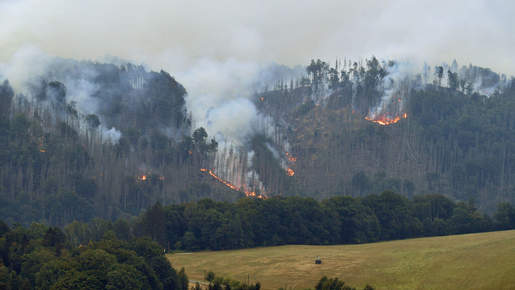 Rauch und Flammen wüten während eines Waldbrandes im Nationalpark Böhmische Schweiz bei Høensko in Tschechien (Archivbild).