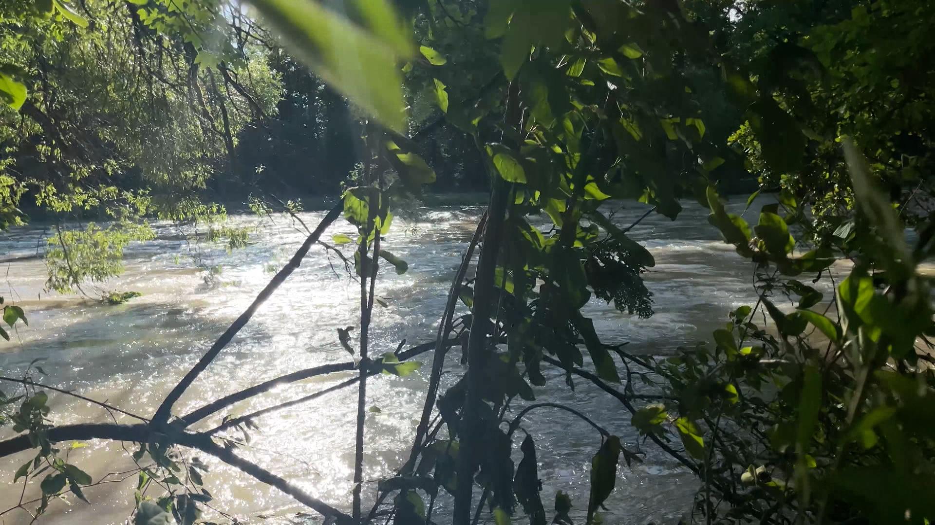 Silberwald bei Neu-Ulm