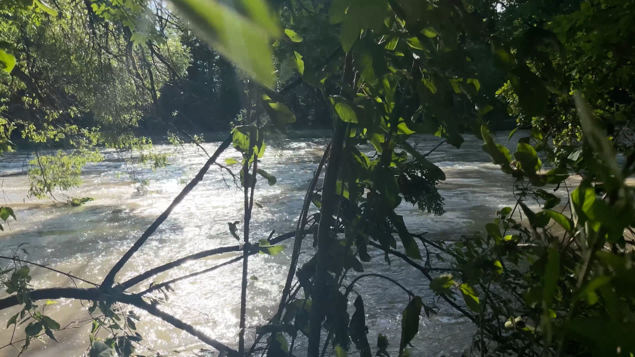 Silberwald bei Neu-Ulm