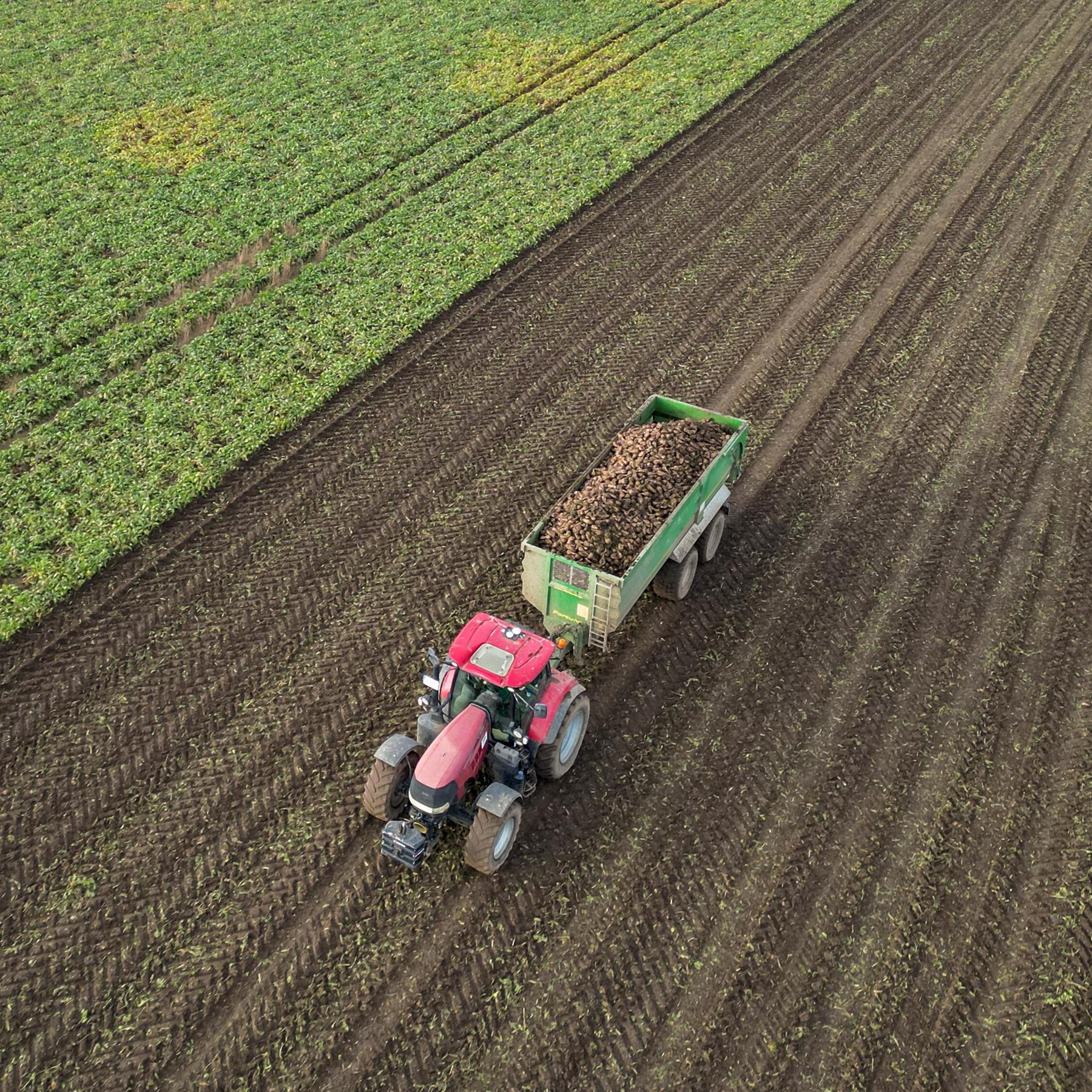 Prof. Balmann beleuchtet wirtschaftliche Herausforderungen und Chancen der Landwirtschaft