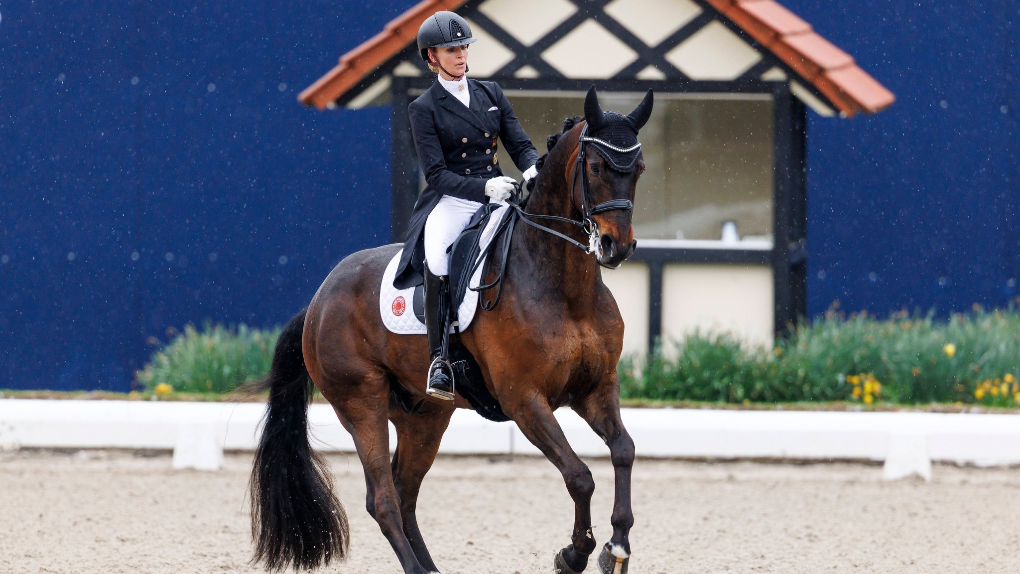 Jessica von Bredow-Werndl mit Pferd Diallo | Bild: imago images/Stefan Lafrentz Jessica von Bredow-Werndl mit Pferd Diallo