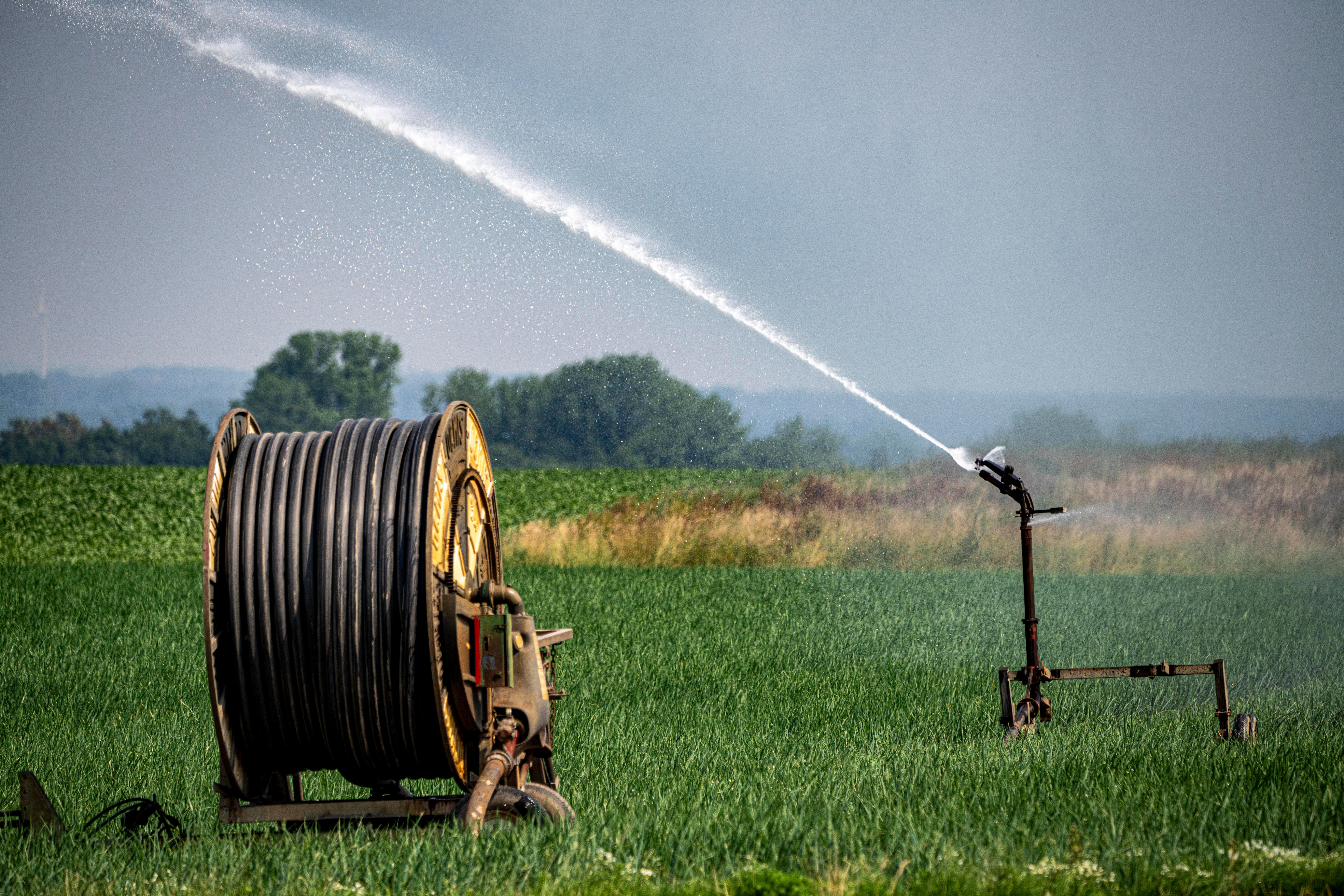 (Symbolbild) Bewässerung auf Feld