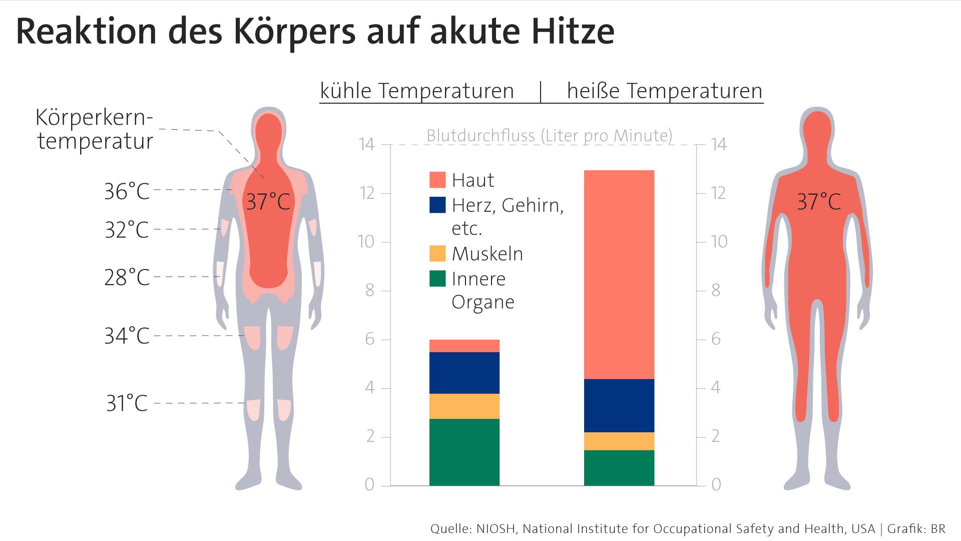Klima und Gesundheit "Wir machen uns selbst die Bude heiß" BR24