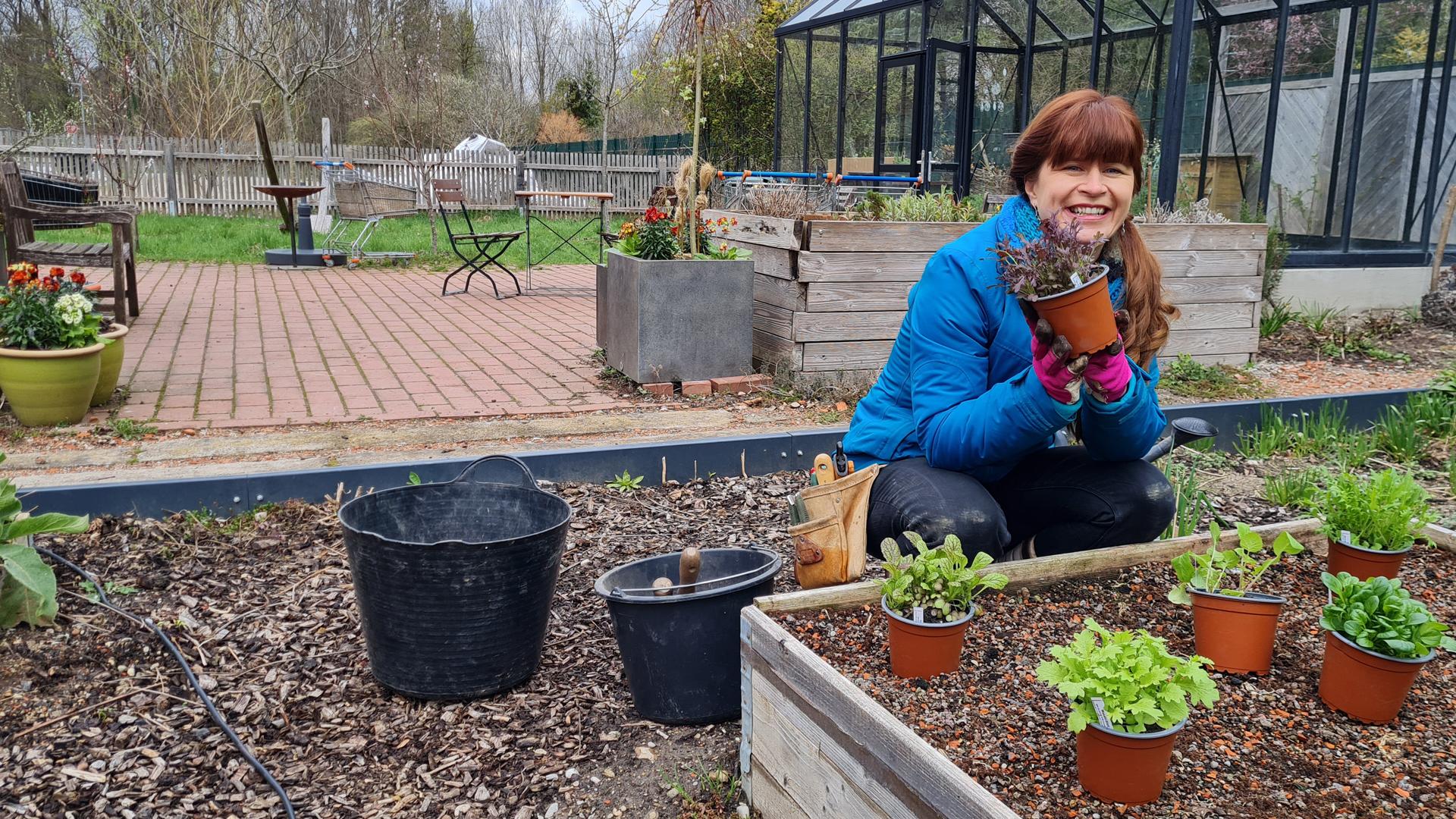 Sabrina Nitsche bestückt den Querbeet-Garten mit verschiedenen Gemüsejungpflanzen.