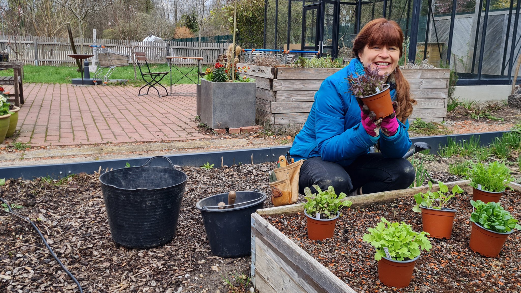 Sabrina Nitsche bestückt den Querbeet-Garten mit verschiedenen Gemüsejungpflanzen.
