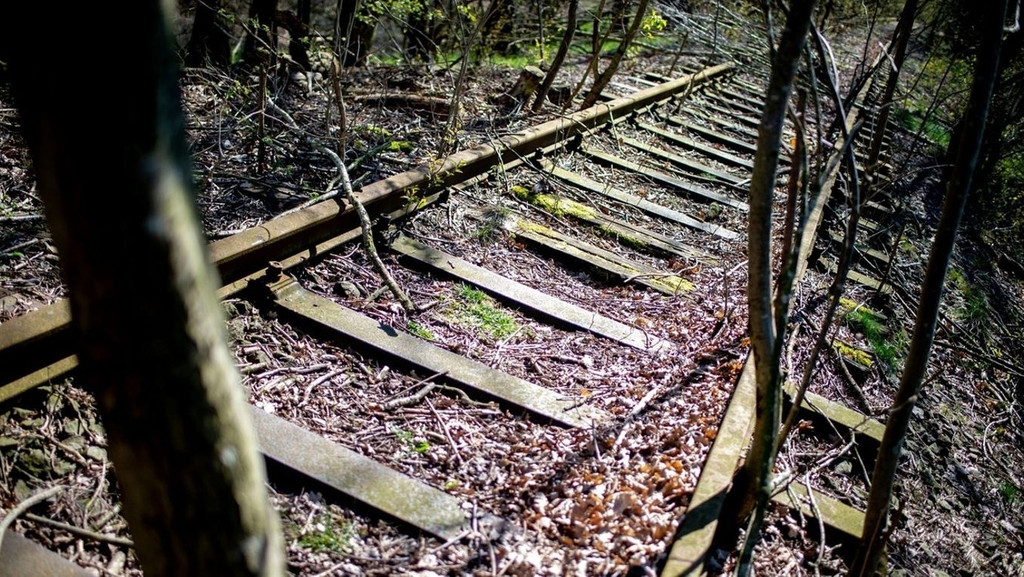 Stillgelegte Gleise führen durch ein Waldstück.