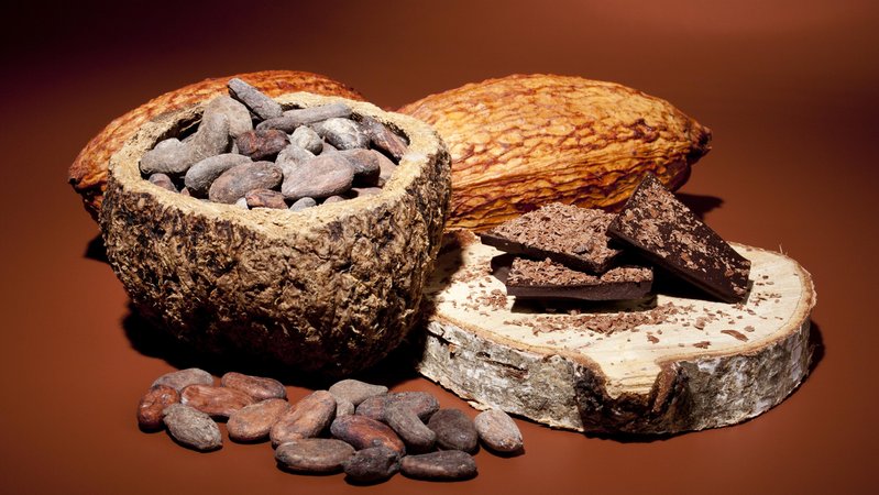 Kakaobohnen, Kakaofrucht und dunkle Schokolade | Bild: picture alliance / imageBROKER Kakaobohnen, Kakaofrucht und dunkle Schokolade