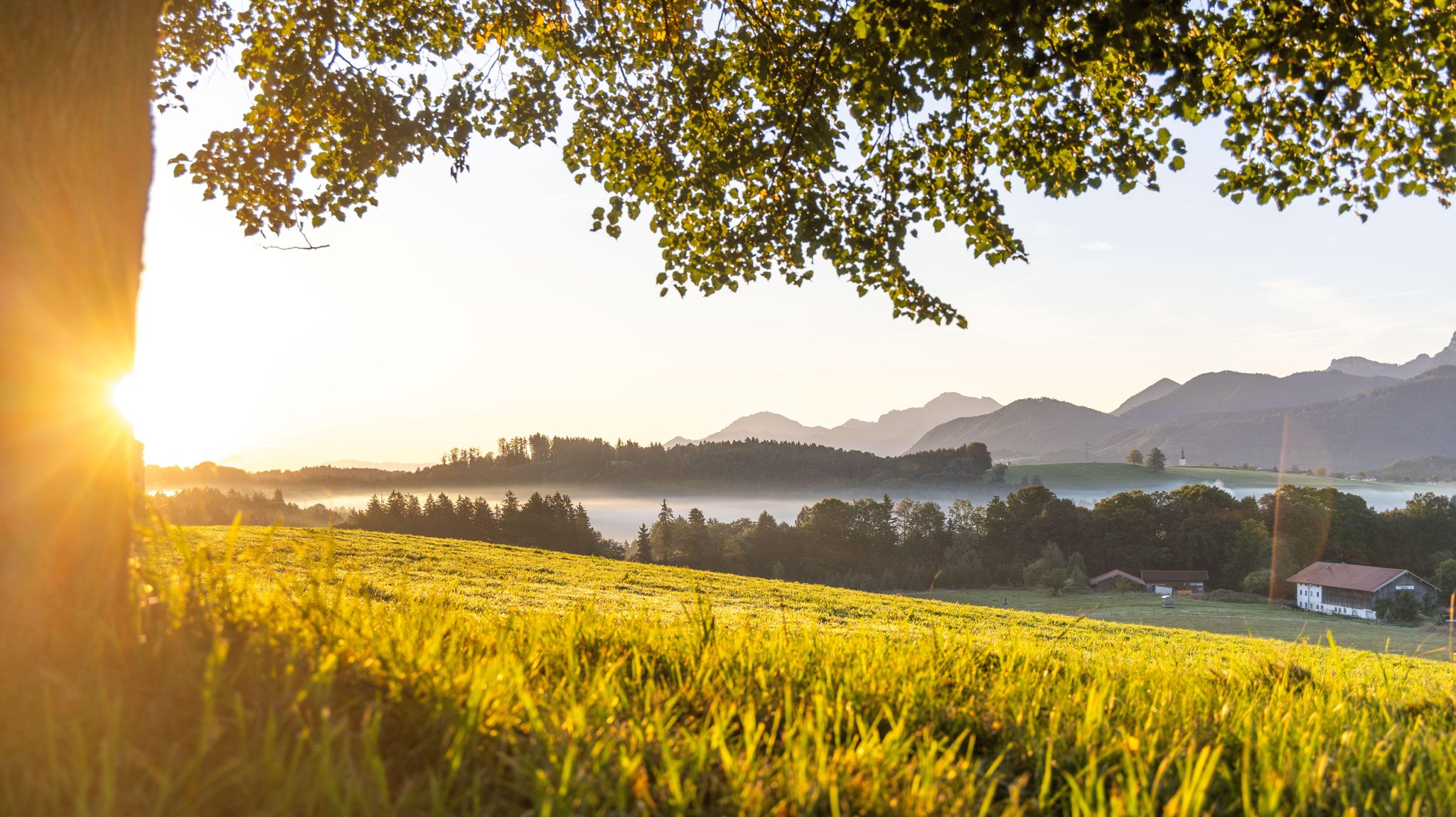 Nach dem Hochsommer 2026 – kommt jetzt der Herbstblues?
