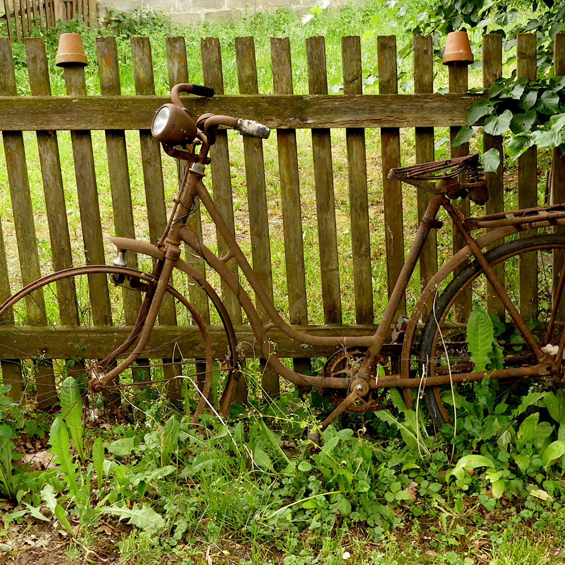 Das Fahrrad und die klassische Musik episode artwork