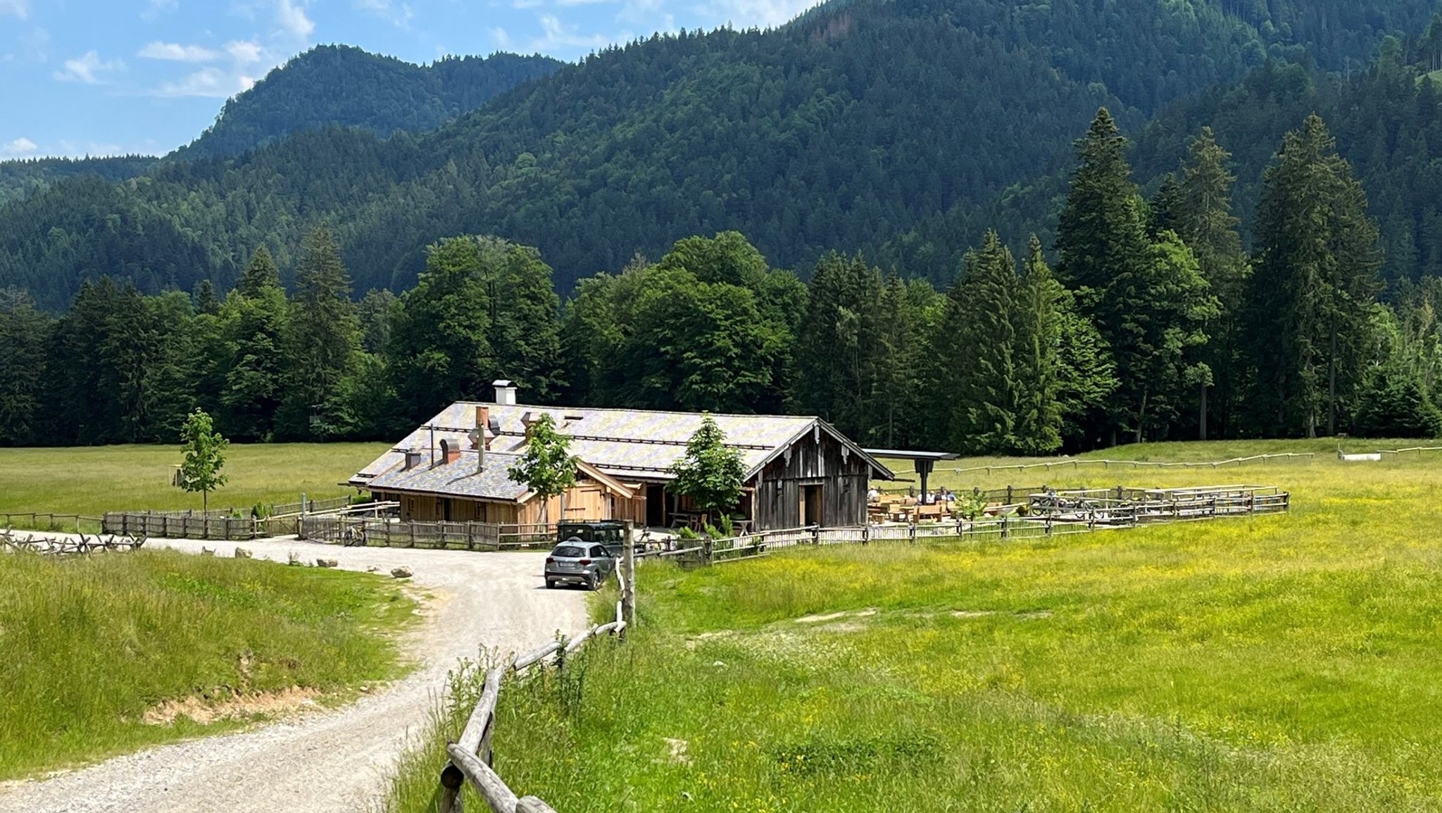 Saurüsselalm am Tegernsee