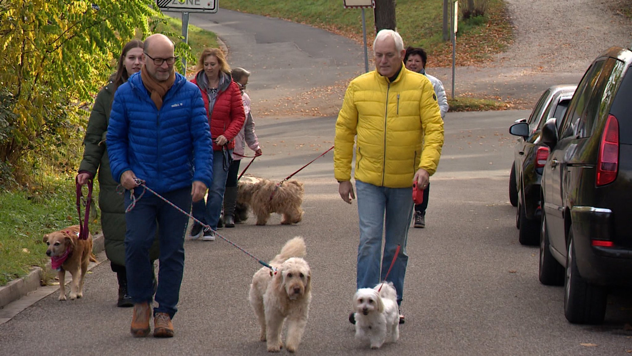 Besorgte Hundehalter