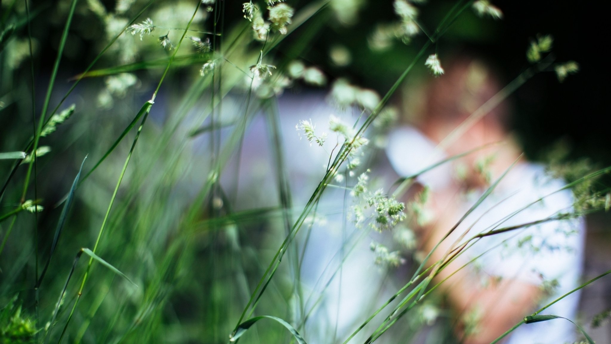 Die Pollen fliegen: Was wirklich gegen Heuschnupfen hilft 