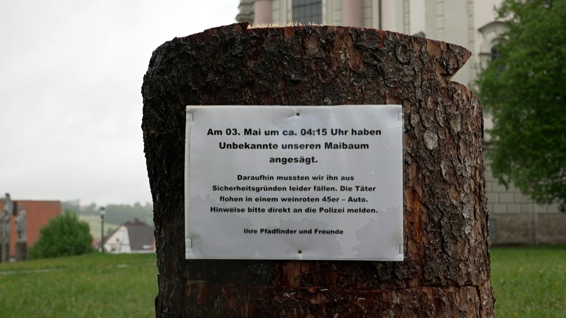 Abgesägter Maibaum mit Nachricht der Pfadfinder: "Am 3. Mai um ca. 04:15 Uhr haben Unbekannte unseren Maibaum angesägt. Daraufhin mussten wir ihn aus Sicherheitsgründen fällen."