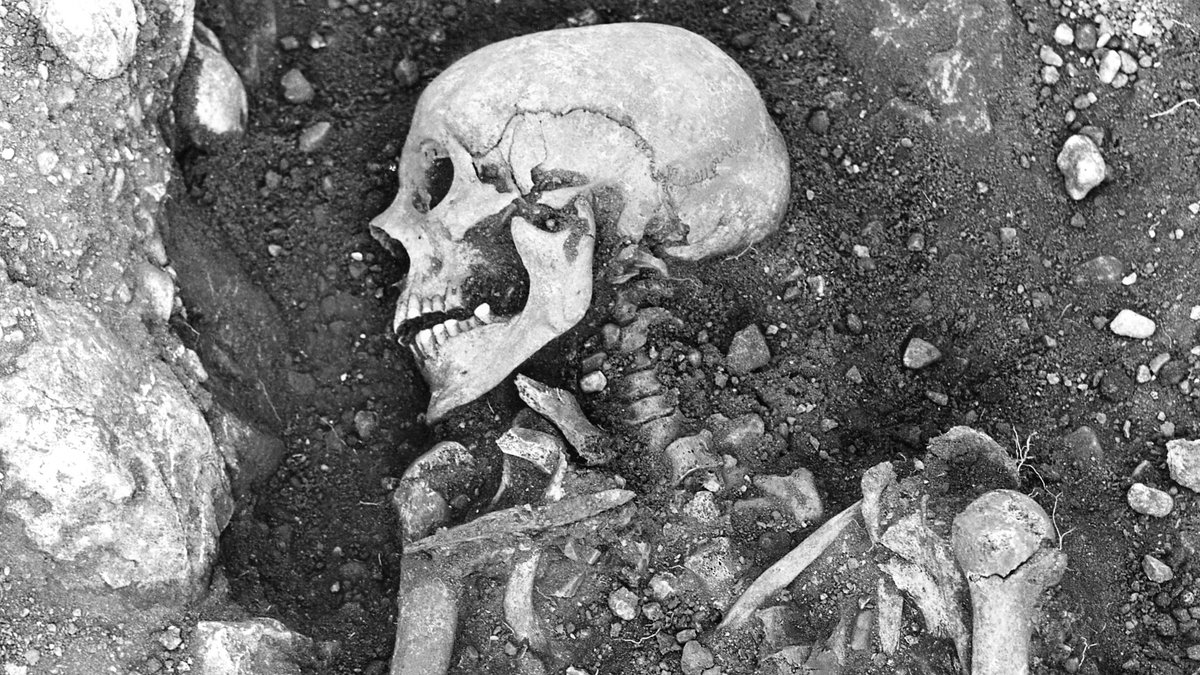 Forscher entdeckten auf der schwedischen Insel Öland ein ursprünglich mit Pocken infiziertes Wikinger-Skelett.