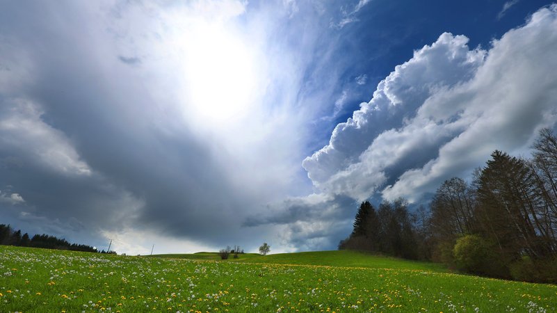 23.4.2025: Wolken türmen sich über den mit blühendem Löwenzahn überzogenen Wiesen im Allgäuer Voralpenland. | Bild: picture alliance/dpa | Karl-Josef Hildenbrand 23.4.2025: Wolken türmen sich über den mit blühendem Löwenzahn überzogenen Wiesen im Allgäuer Voralpenland.