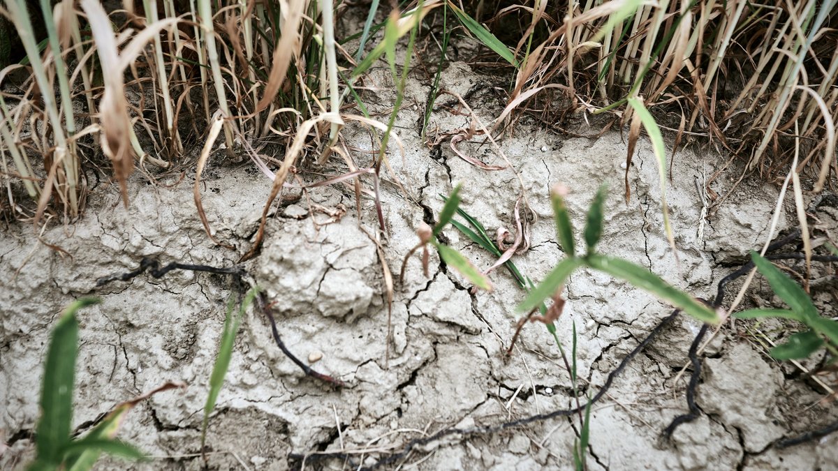Weltwetterbehörde: Klimawandel-Folgen teils unumkehrbar