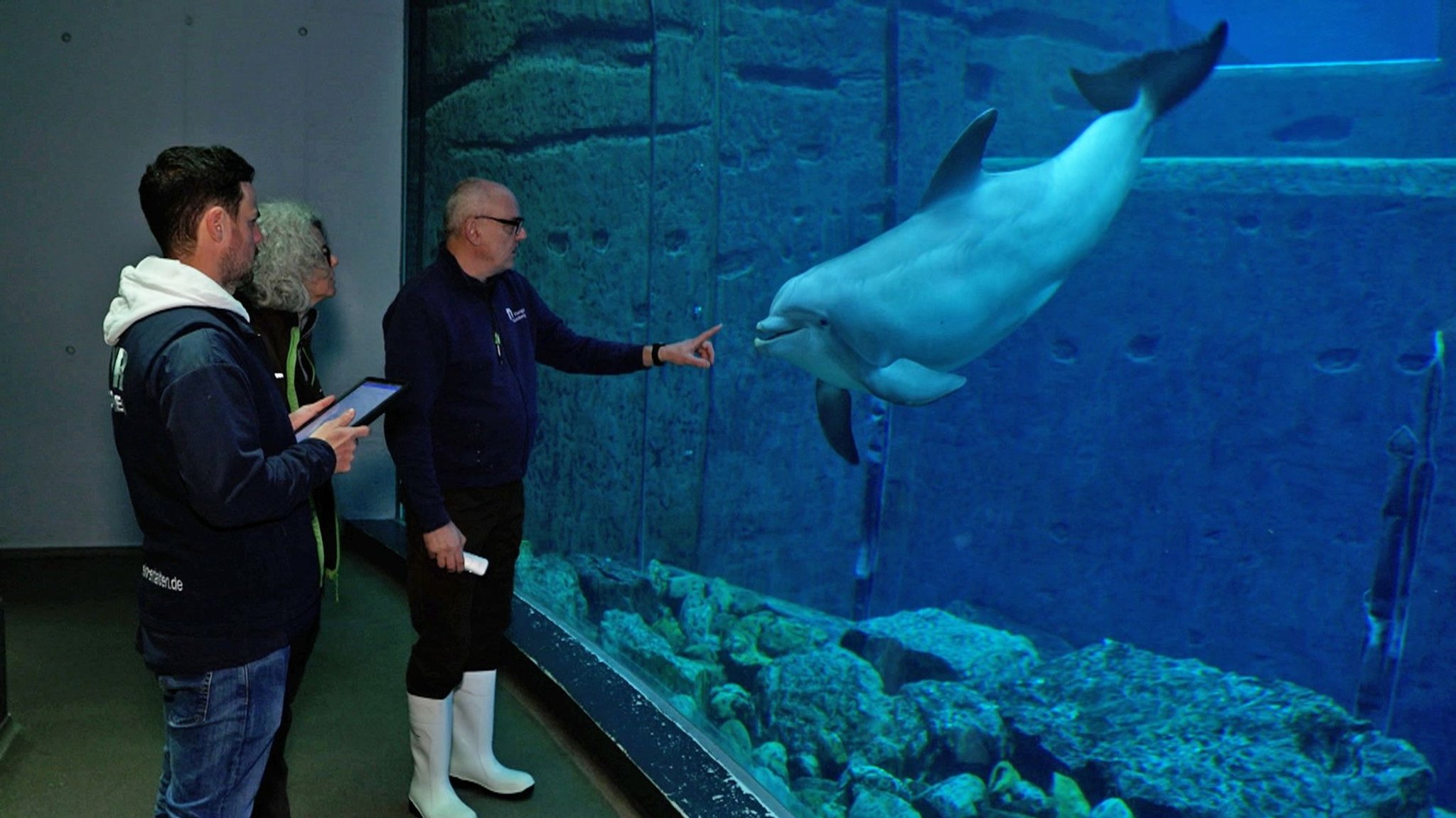 Untersuchung eines Delfins im Blauen Salon im Tiergarten Nürnberg