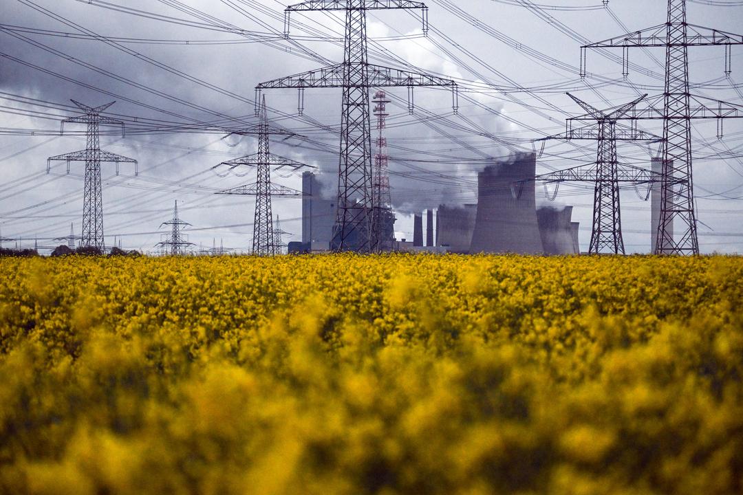 Raps blüht vor dem Braunkohlekraftwerk Niederaußem.