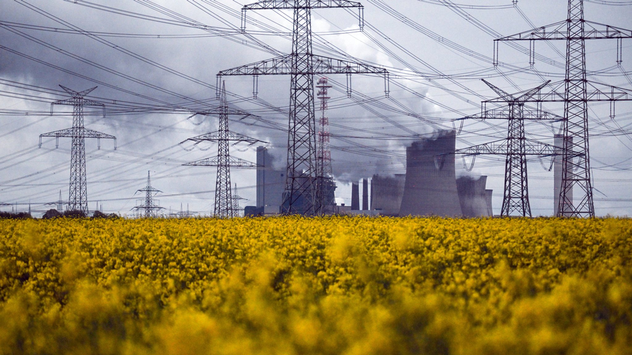 Raps blüht vor dem Braunkohlekraftwerk Niederaußem.