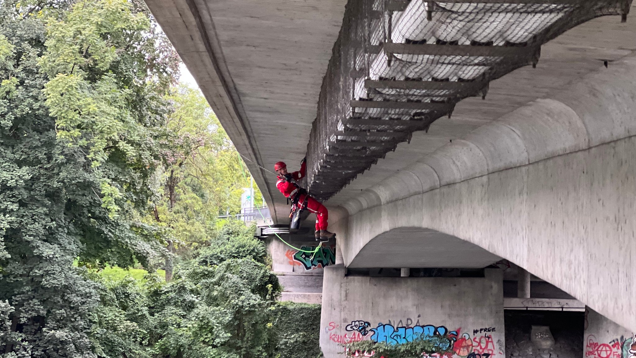 Einsatzkräfte der Berufsfeuerwehr Augsburg seilen sich an einer Brücke ab, um Schwalben aus einem Netz zu befreien. 