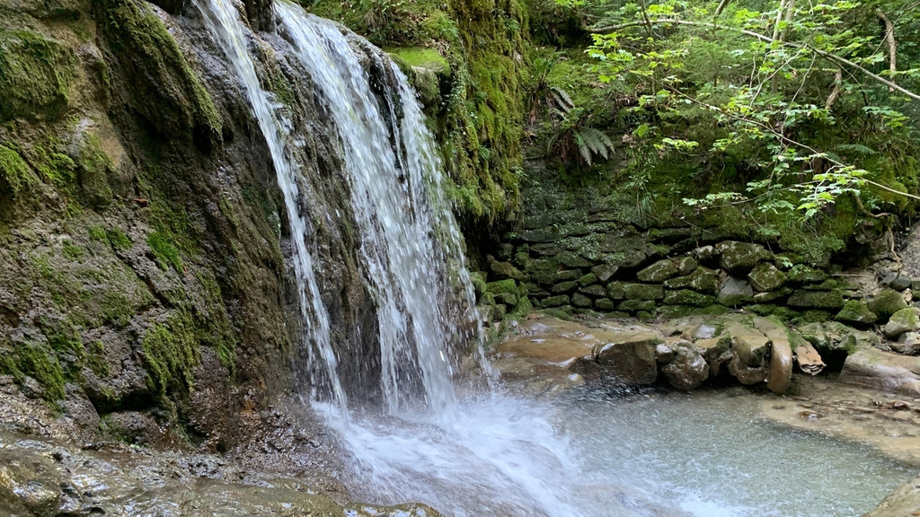Durch die Hausbachklamm im Westallgäu führen kurze und lange Wanderrouten. | Bild: BR/Steffen Armbruster Durch die Hausbachklamm im Westallgäu führen kurze und lange Wanderrouten.