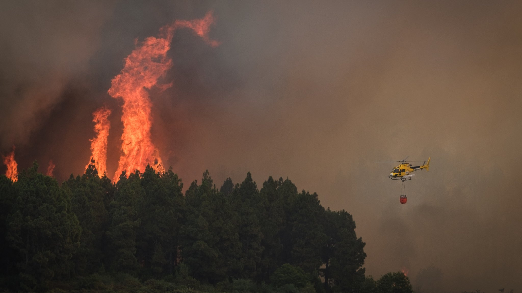 Ein Hubschrauber greift in einen Flächenbrand ein, der in der Stadt Los Realejos im Norden der Insel Teneriffa ausgebrochen ist.