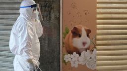 Hongkong: Ein Mitarbeiter des Ministeriums für Landwirtschaft, Fischerei und Naturschutz geht an einer Tierhandlung vorbei, die geschlossen wurde, nachdem einige Hamster positiv auf das Coronavirus getestet worden waren. | Bild:dpa-Bildfunk/Kin Cheung