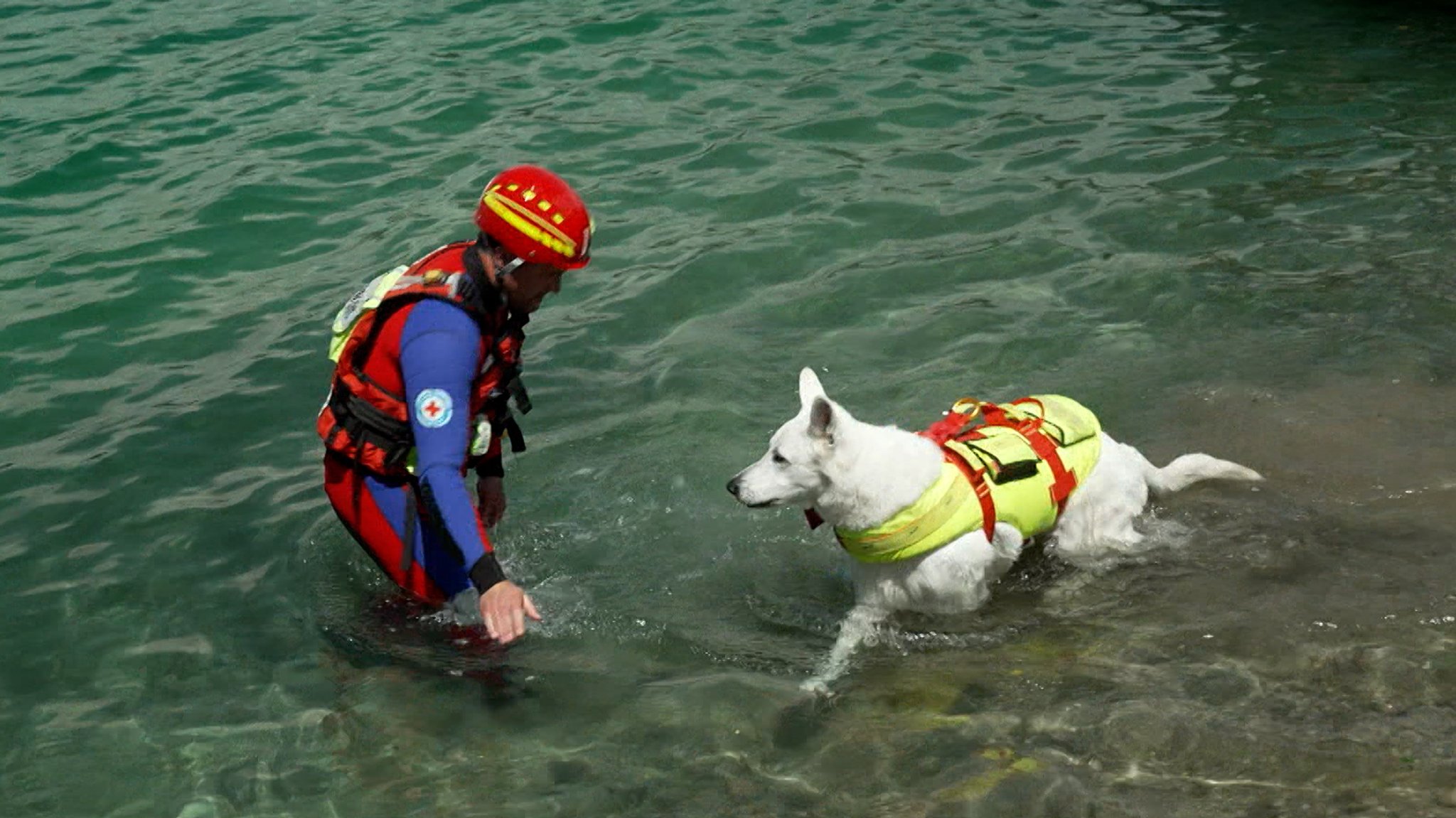 Wasserrettungshund und Rettungsschwimmer im Langwieder See | Bild: BR/ Dominik Schlederer Wasserrettungshund und Rettungsschwimmer im Langwieder See