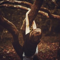 "Wie grob der Filz ist, und wie warm" von Klaus Raab | Bild: Unsplash/Annie Spratt