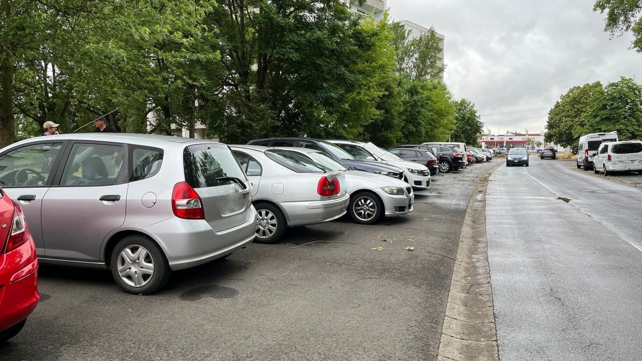 Elf Bäume sollen in der Siemensstraße Bamberg gepflanzt werden, 19 Parkplätze sollen verschwinden.