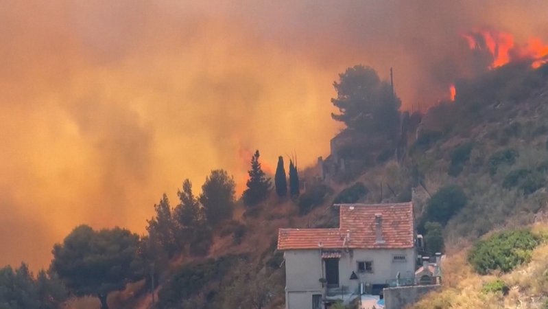 Ein Waldbrand nahe Marseille brachte den Flugverkehr zeitweise zum Erliegen. | Bild: Bayerischer Rundfunk 2025 Ein Waldbrand nahe Marseille brachte den Flugverkehr zeitweise zum Erliegen.