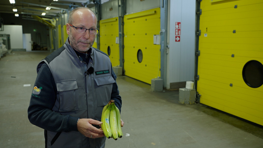Rüdiger Selnow mit reifen Bananen in der Hand. Hinter ihm die Reifekammern.