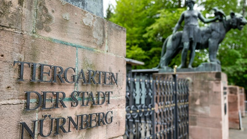 Eingang Tiergarten Nürnberg | Bild: picture alliance / Eibner-Pressefoto | Thomas Hahn /Eibner-Pressefoto Eingang Tiergarten Nürnberg