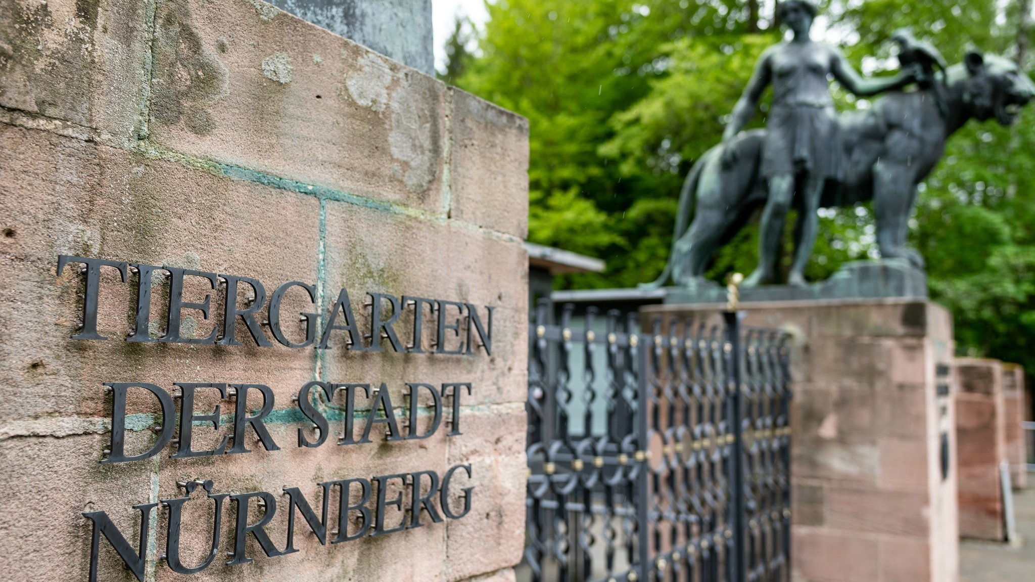 Vogelgrippe-Verdacht: Tiergarten Nürnberg geschlossen