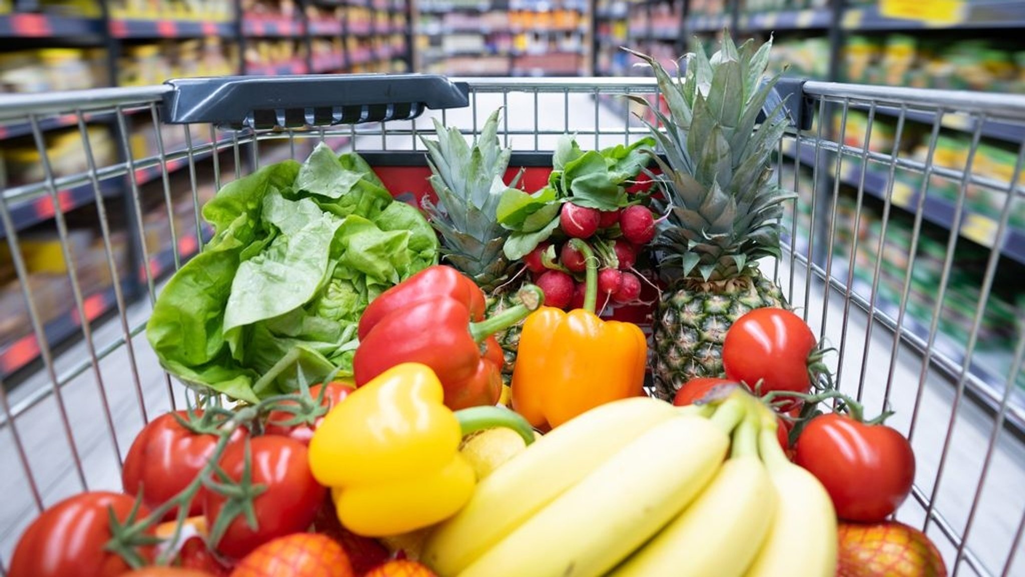 Ein Einkaufskorb mit Obst und Gemüse steht in einem Supermarkt. (Symbolbild)