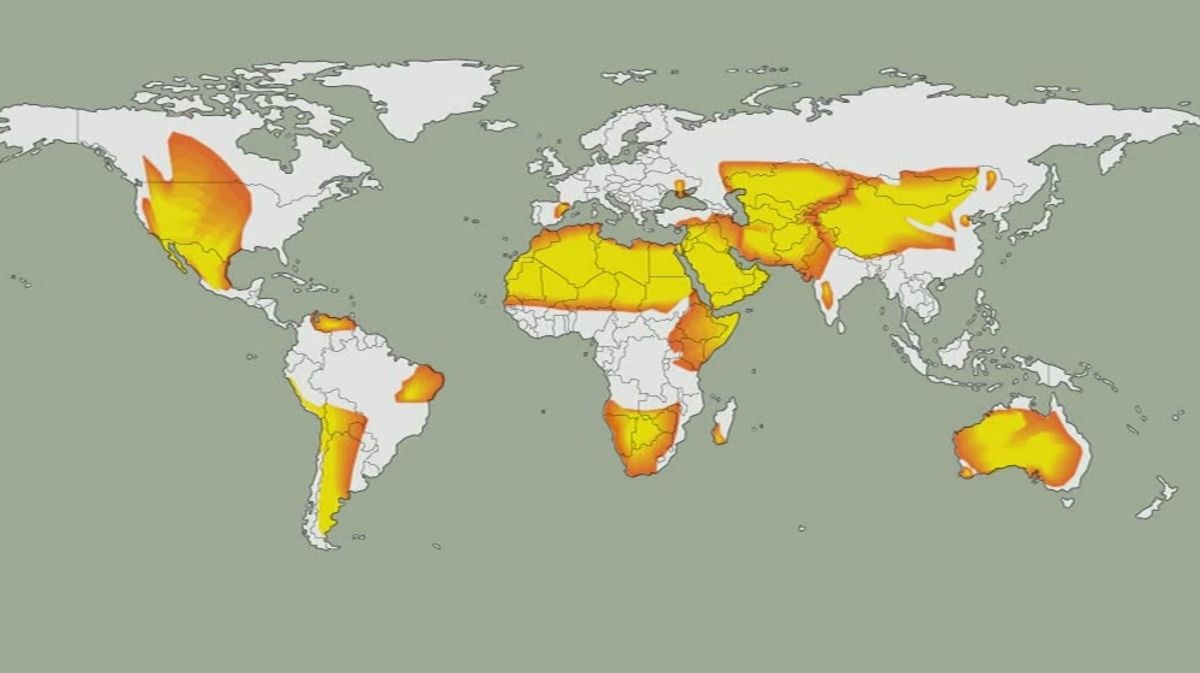 Desertifikation Die Wuste Wachst Weltweit Br24