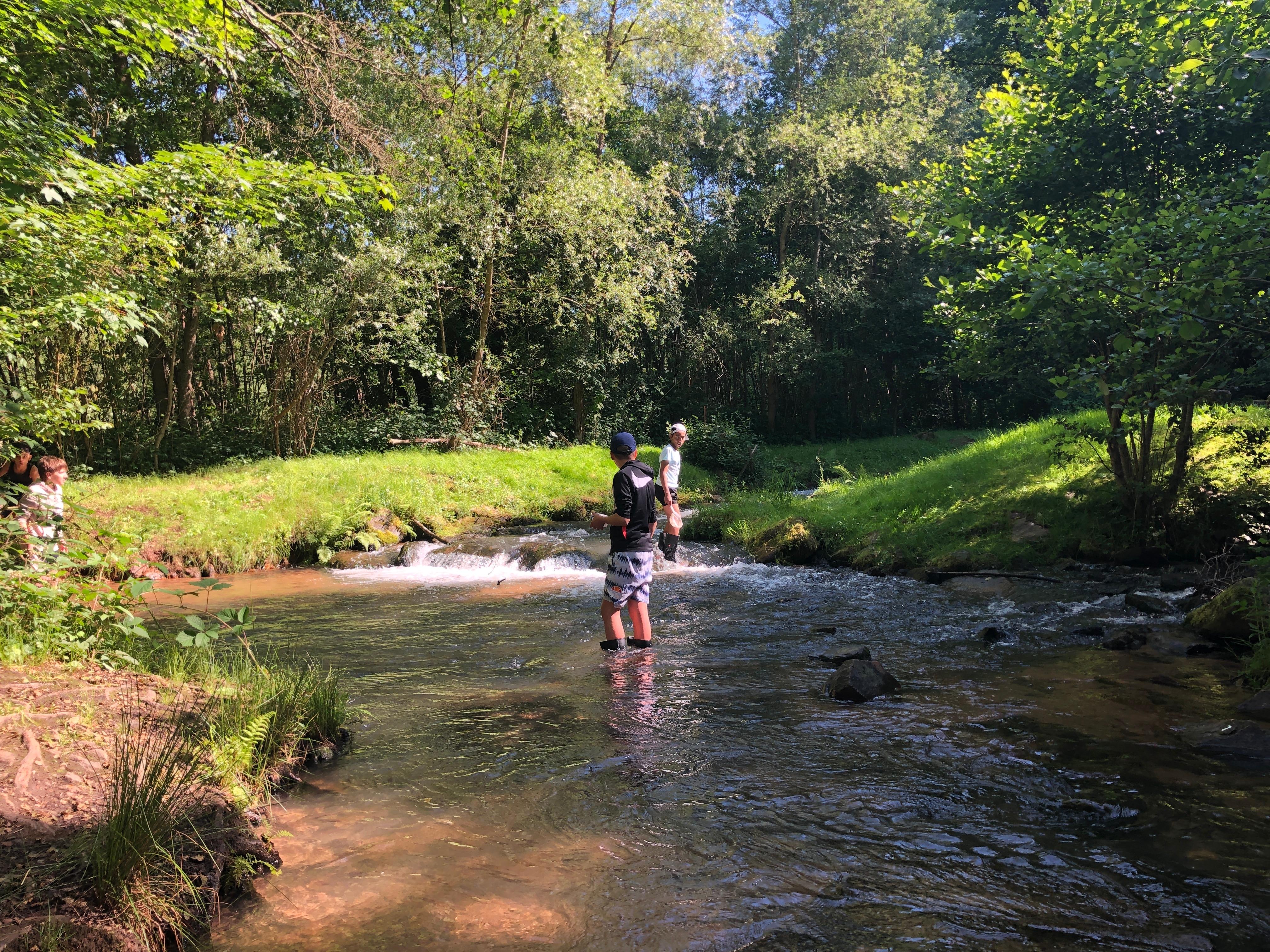 Schüler in Wasserschule in Hobbach