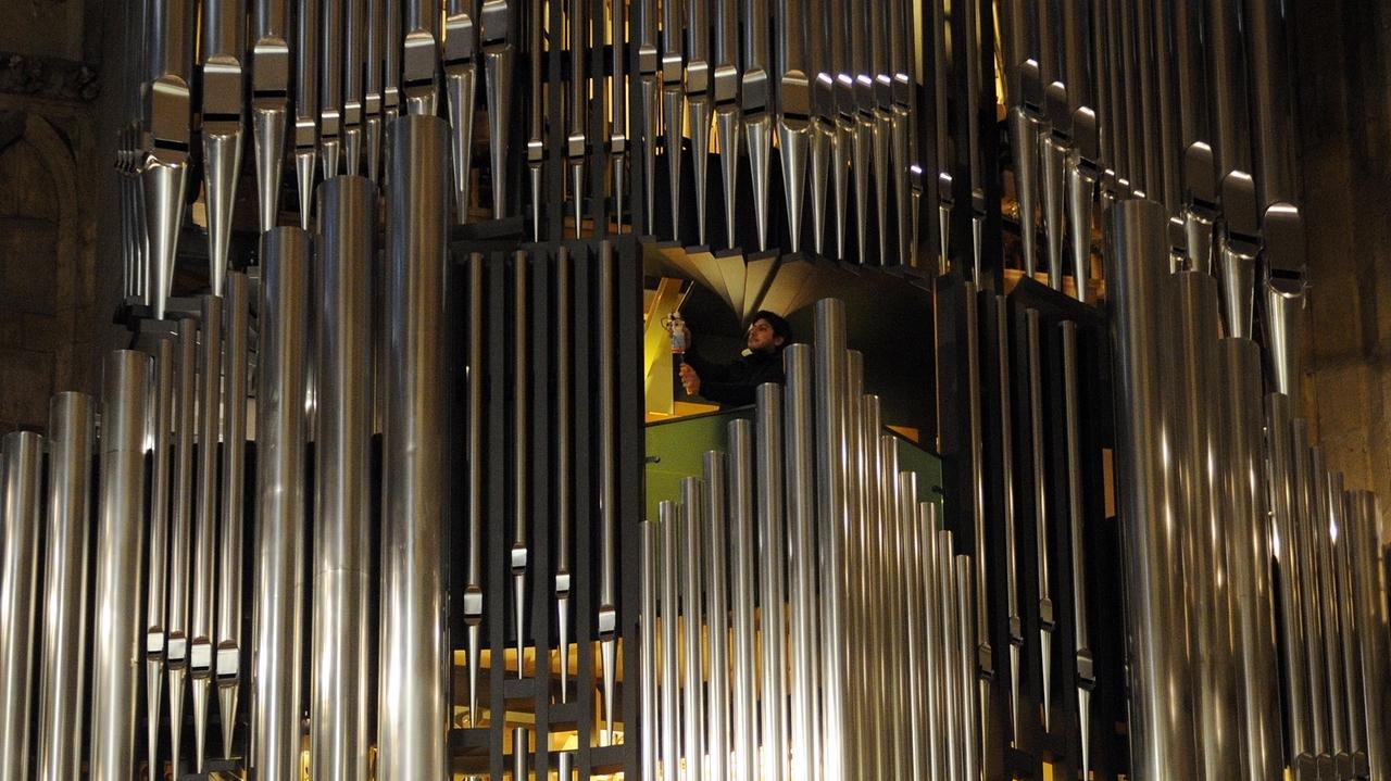 Orgel Rekord Und Kulturerbe Wie Der Regensburger Dom Eine Neue Orgel Bekam