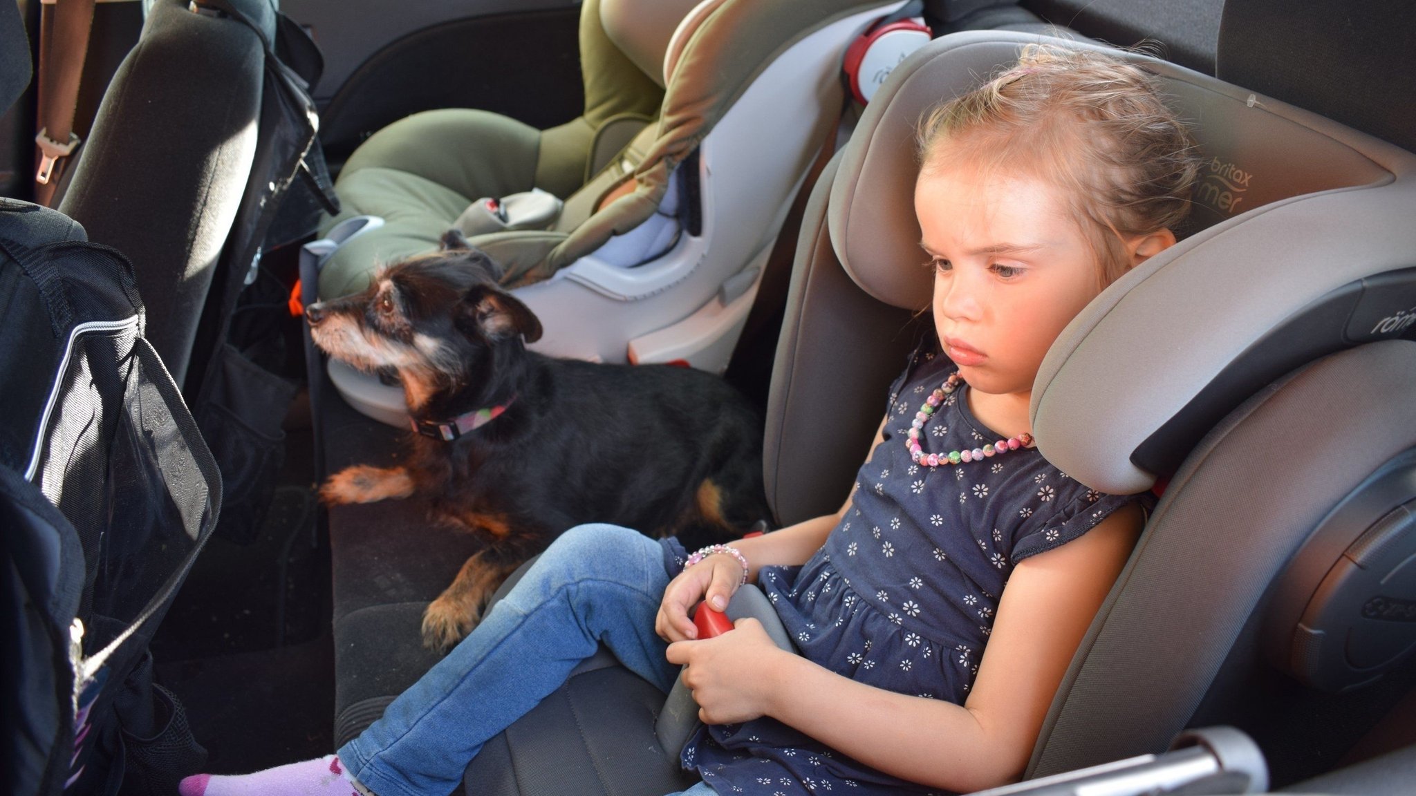 Hitzefalle Auto: Wann es für Kinder und Tiere gefährlich wird
