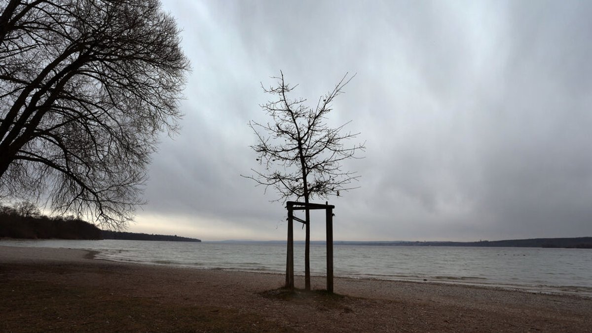 08.03.2023, Bayern, Inning: Kahle Bäume stehen am Ufer des unter Regenwolken liegenden Ammersees. Für die kommenden Tage hat der Deutsche Wetterdienst Regen, Schnee und Sturm vorhergesagt. Foto: Karl-Josef Hildenbrand/dpa +++ dpa-Bildfunk +++