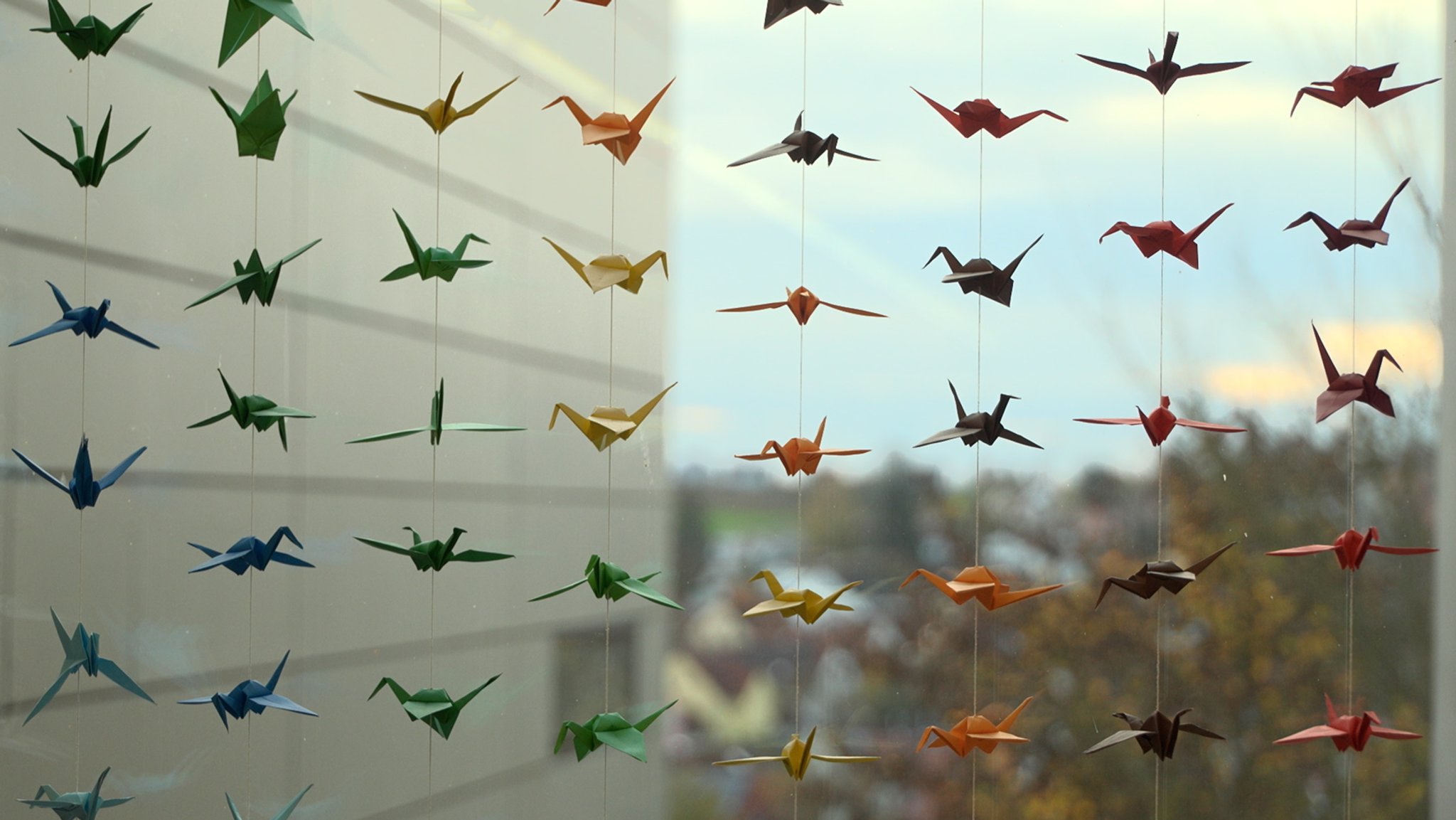 Blick aus dem Elternhaus des VKKK unmittelbar neben dem Regensburger Uniklinikum.