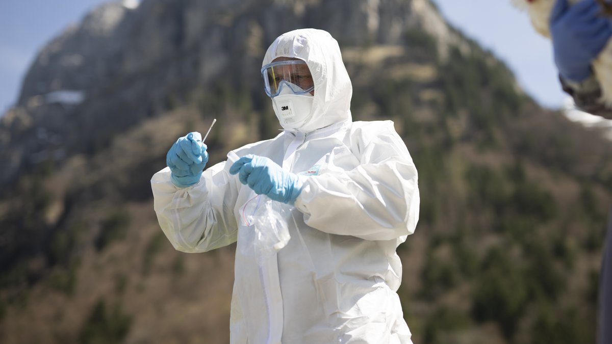 Vogelgrippe grassiert bei Rindern – Sorge vor Pandemie wächst