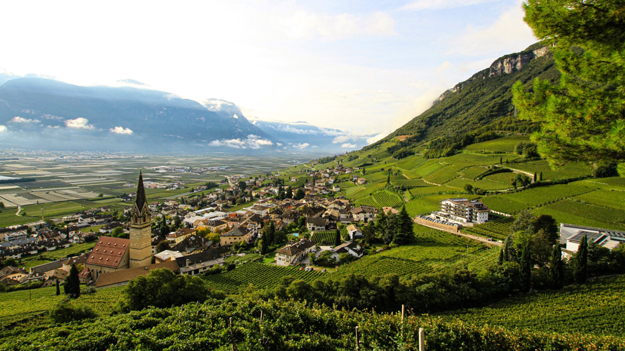 Ein Weingut mit Blick ins Etschtal.